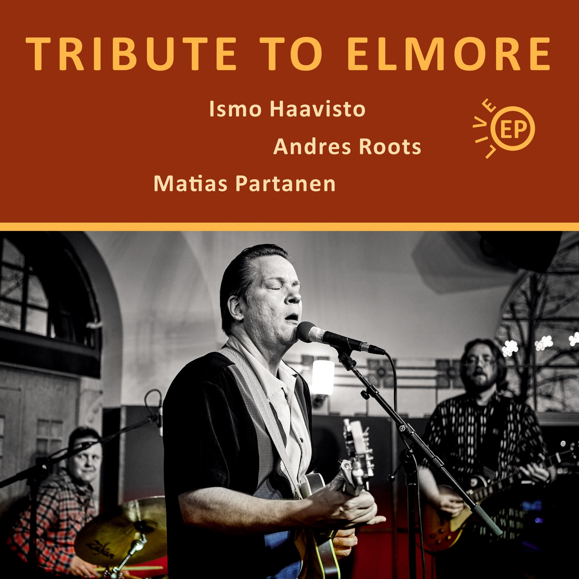 Ismo Haavisto, Andres Roots & Matias Partanen - Tribute To Elmore