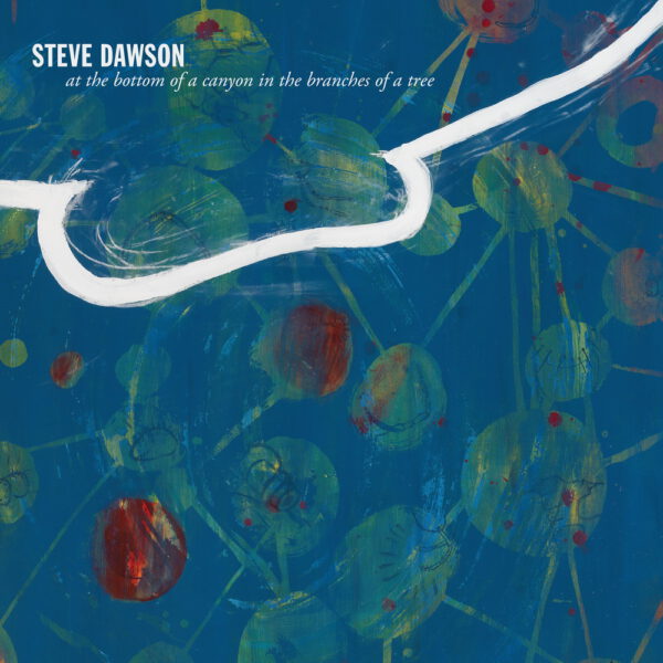 Steve Dawson - At The Bottom Of A Canyon In The Branches Of A Tree