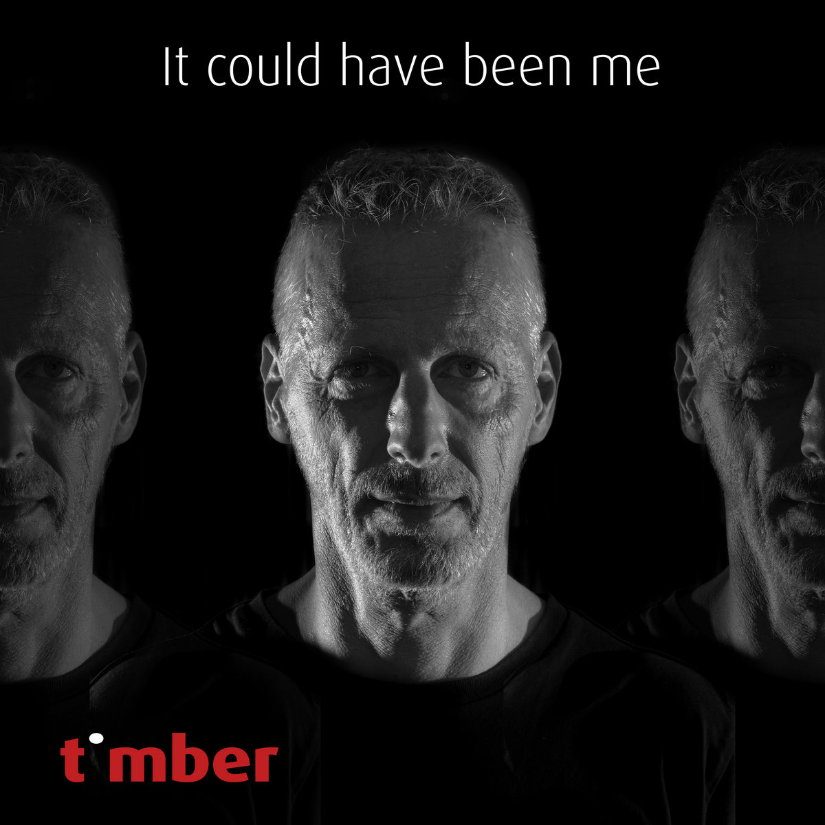 Timber - It Could Have Been Me