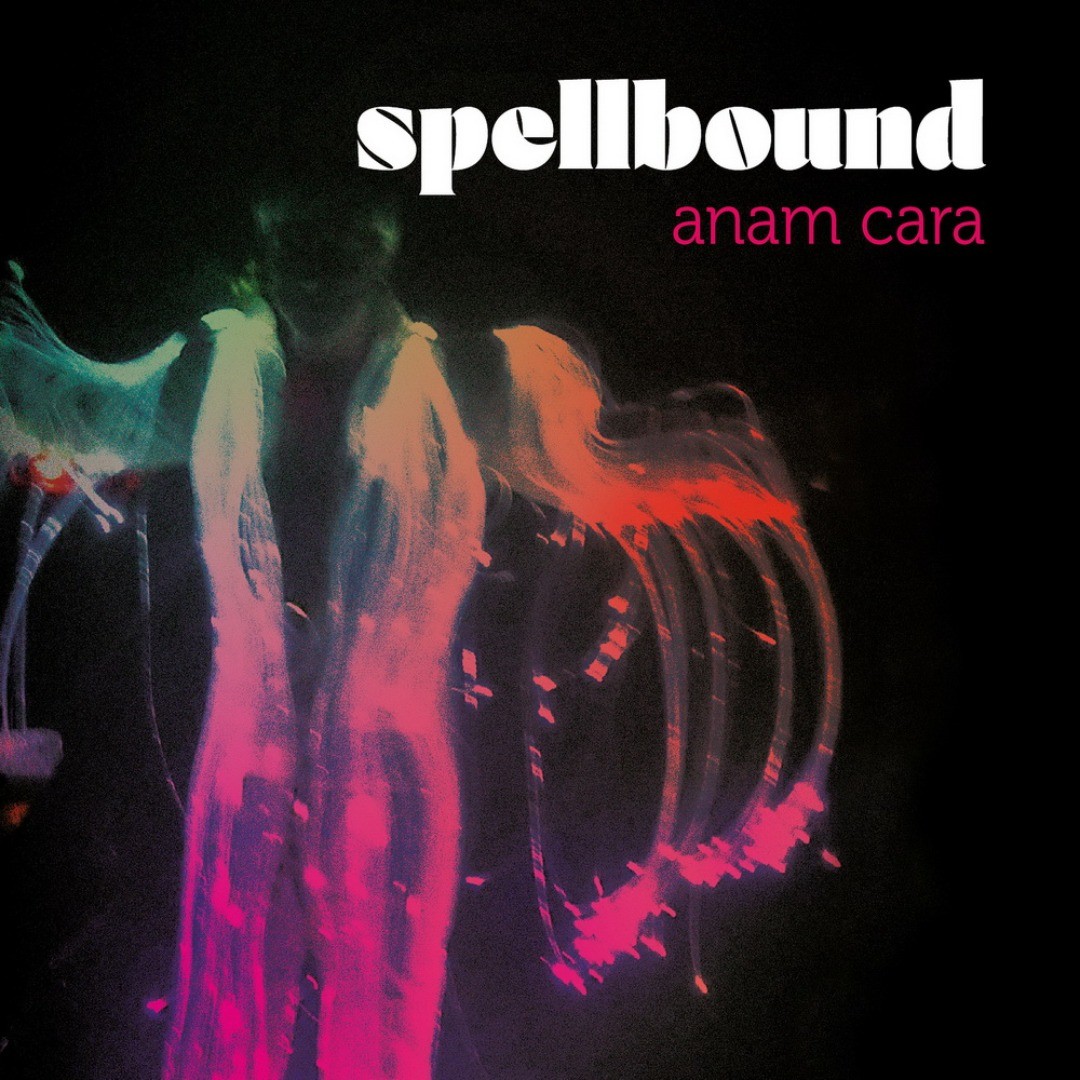 New Release: Spellbound – Anam Cara

Spellbound: een virtuele band met ECHTE muziek.

CRS/Continental Record Services

https://www.bluestownmusic.nl/new-release-spellbound-anam-cara/

#spellbound #peterslager #juliescott