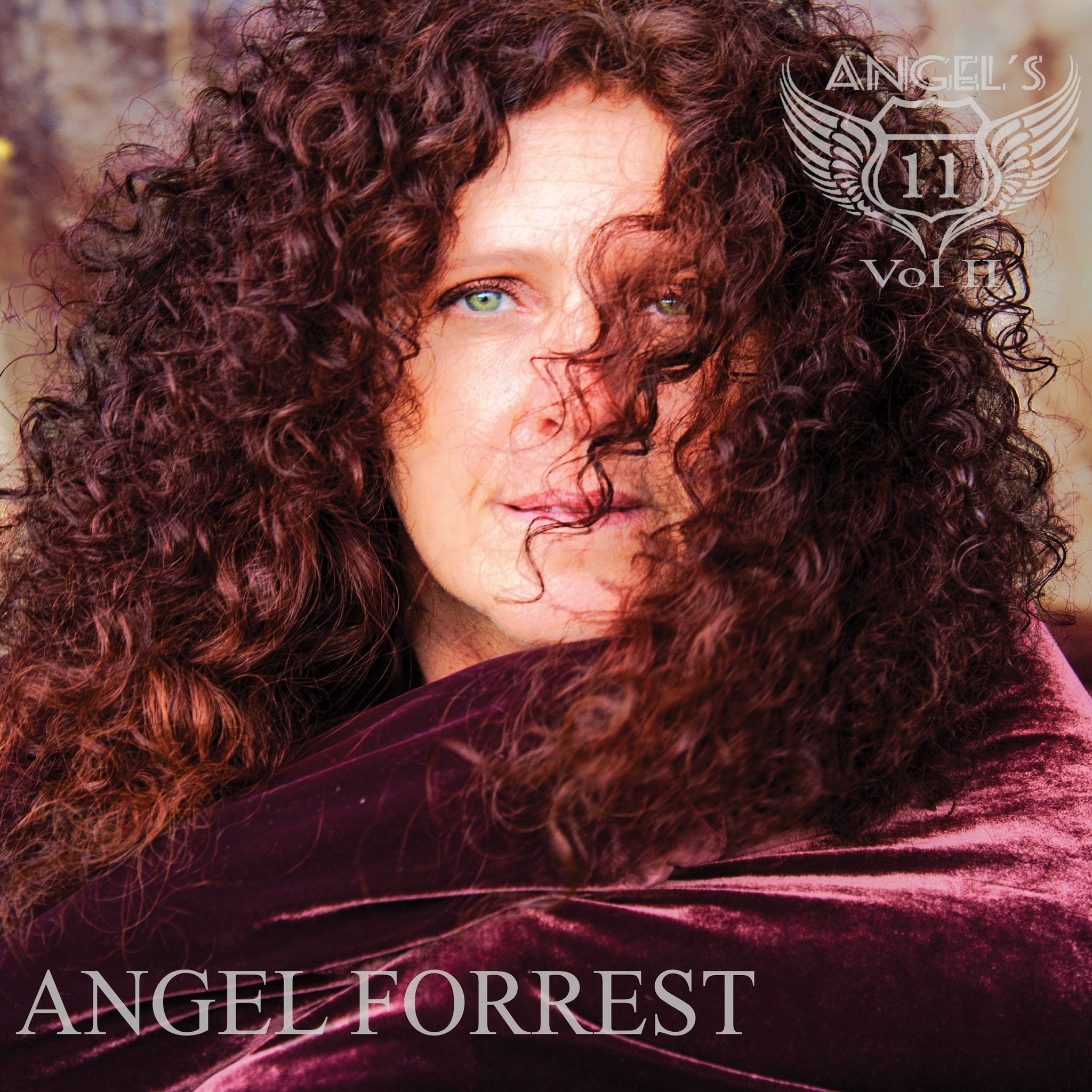 Angel Forrest - Angel’s 11 Vol II
