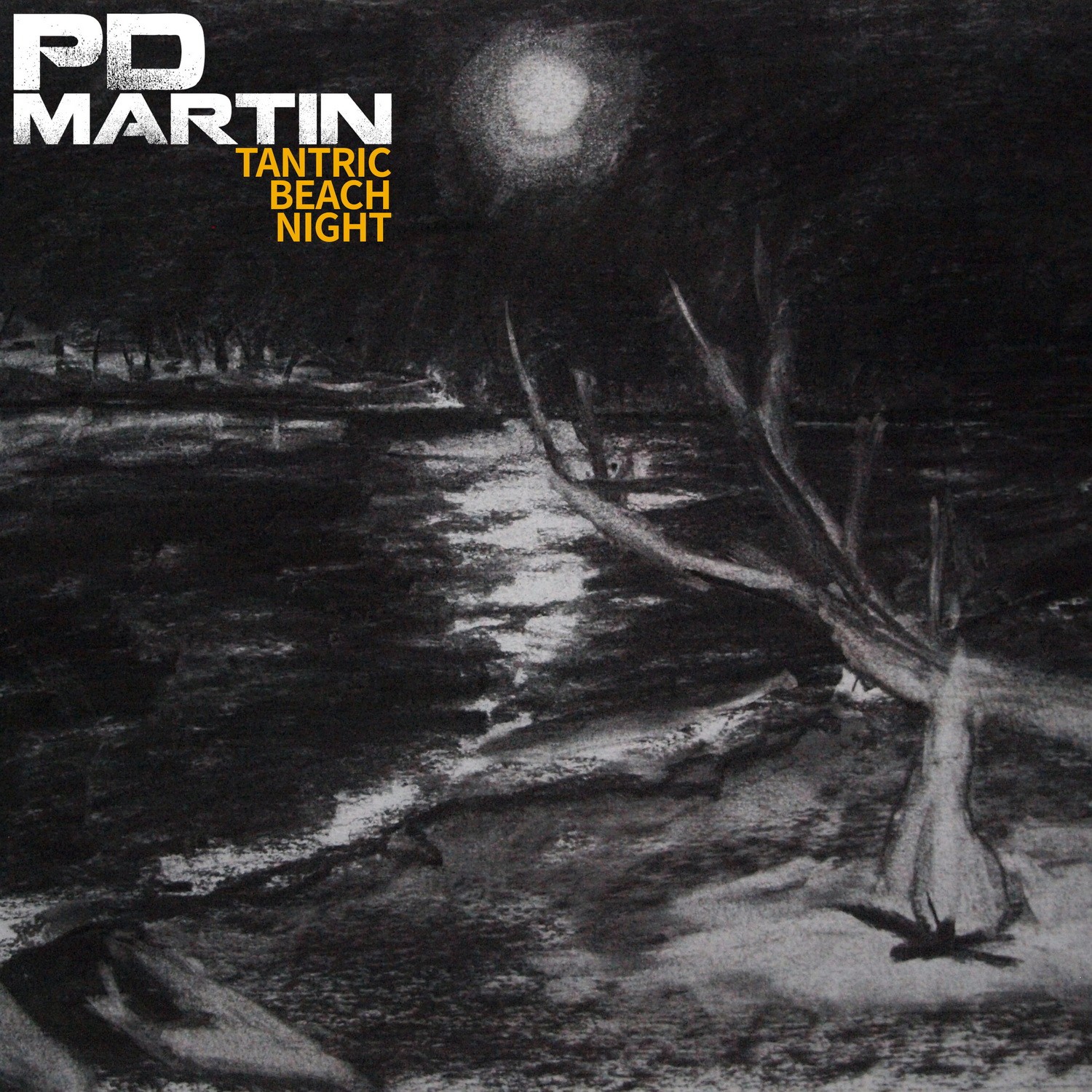 PD Martin - Tantric Beach Night