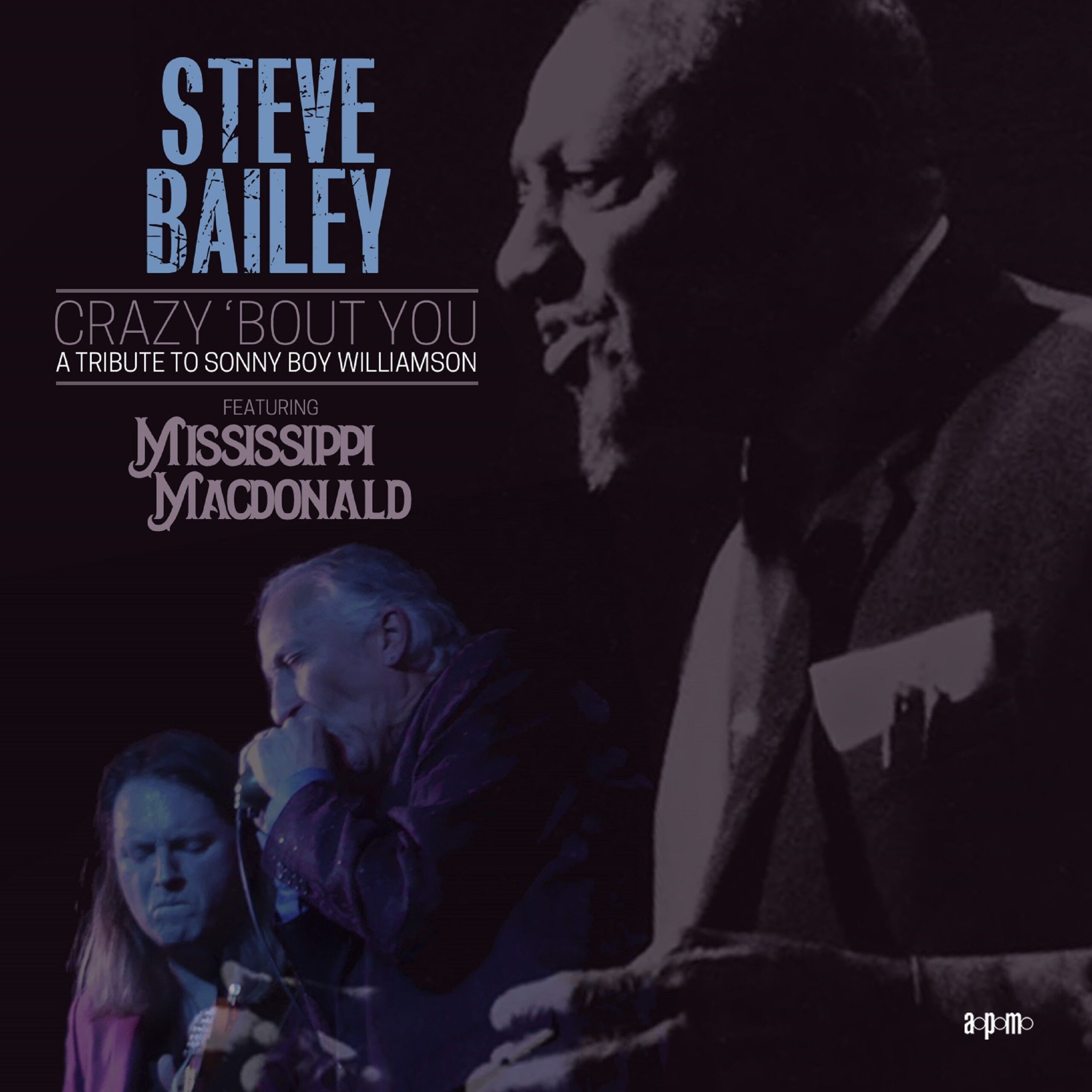 Steve Bailey - Crazy 'Bout You A Tribute to Sonny Boy Williamson