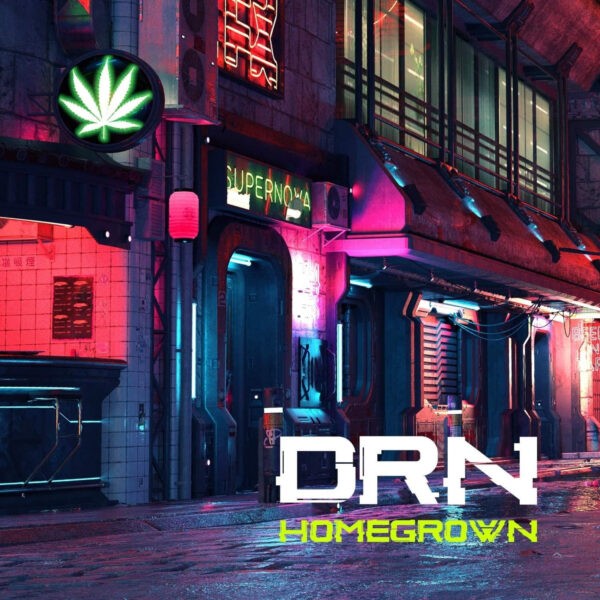 Dan Reed Network - Homegrown
