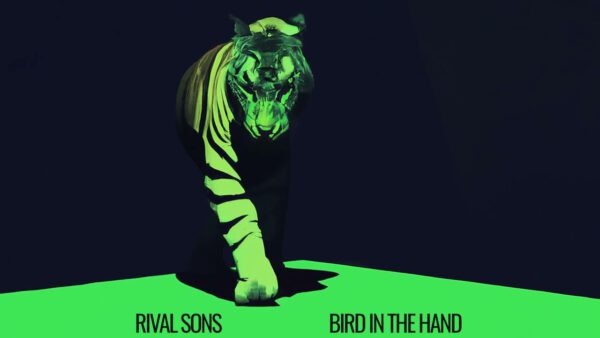 Rival Sons - Bird In The Hand