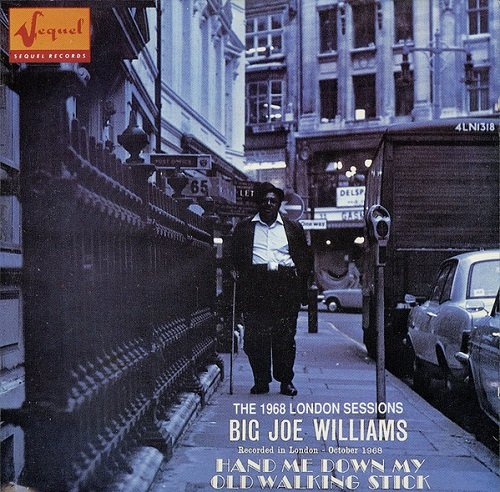 Big Joe Williams - Hand Me Down My Old Walking Stick (The 1968 London Sessions)