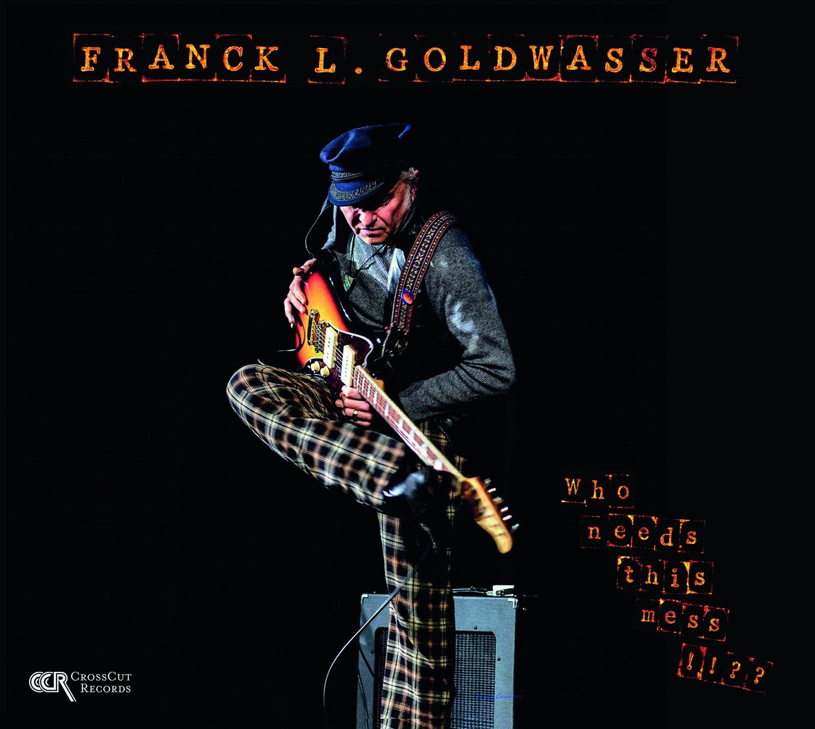 Franck L Goldwasser - Who Needs This Mess