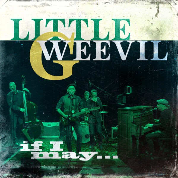 Little G Weevil - If I May