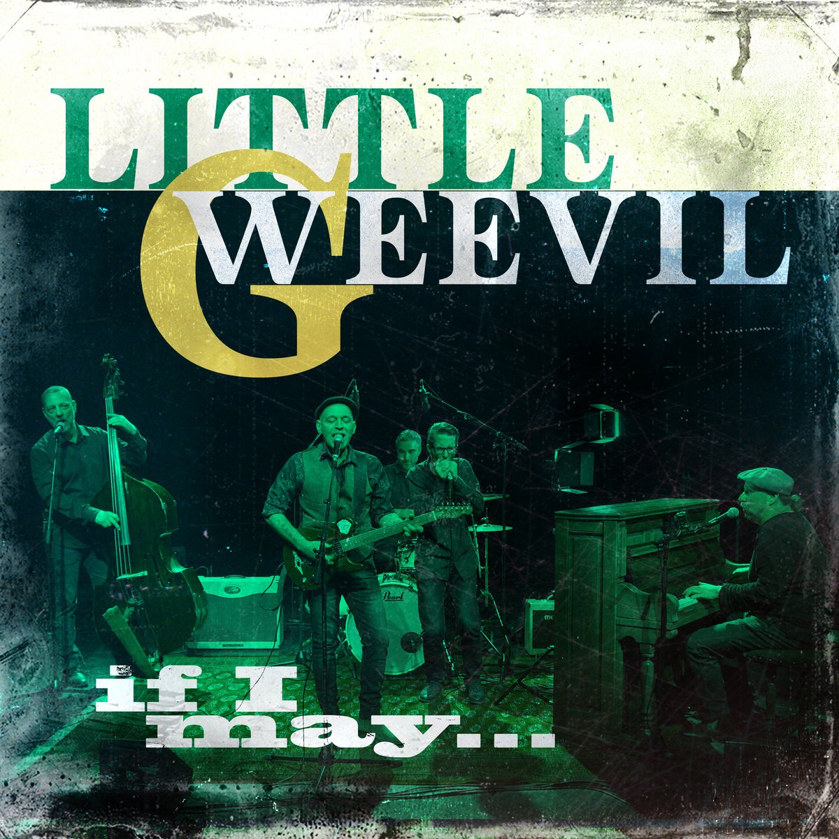 Little G. Weevil - If I May