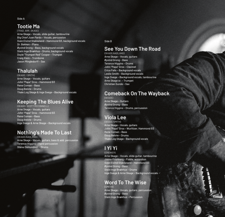 New Release: Arne Skage - Rootwork I Bluestown Music