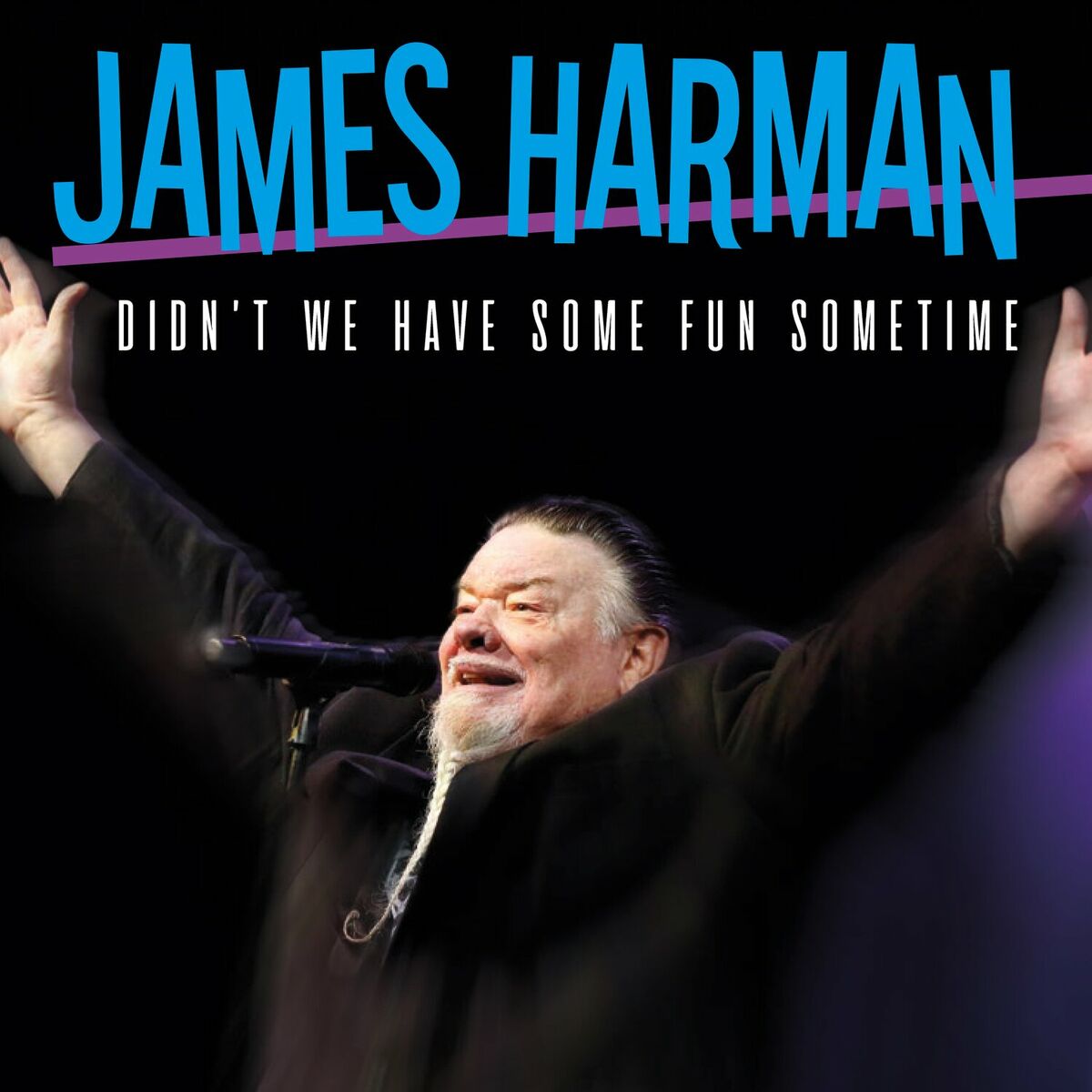Review: James Harman - Didn't We Have Some Fun Sometime